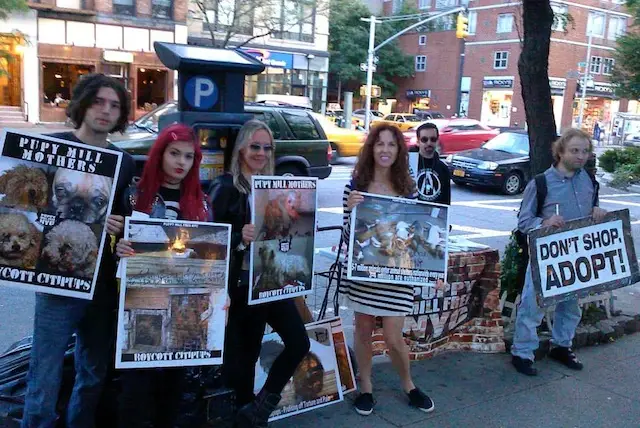 Protestors outside an alleged "puppy mill" pet shop.